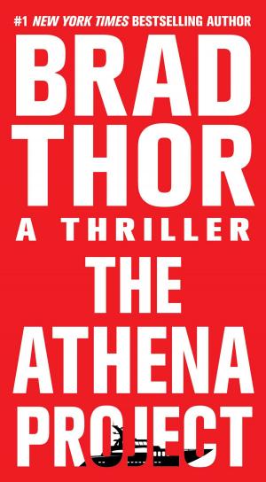 Cover of the book The Athena Project by Amy Hatvany