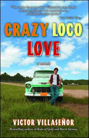 Cover of the book Crazy Loco Love by Xu Xiaobin