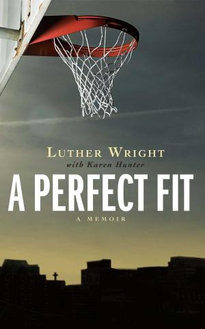 Cover of the book A Perfect Fit by Travis Harmon, Jonathan Shockley