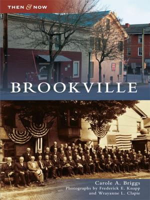 Cover of the book Brookville by Cathy Antener