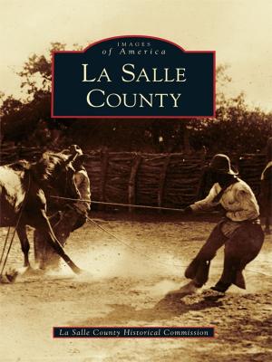 Cover of the book La Salle County by Ron Johnson
