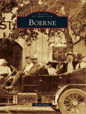 Cover of the book Boerne by Marcia Penner Freedman