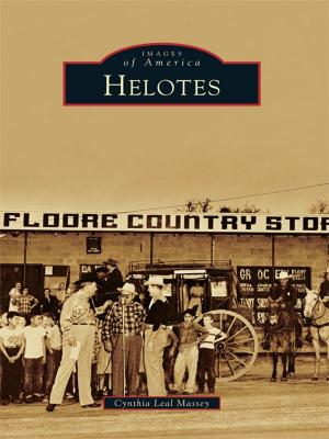 Cover of the book Helotes by Jim Wiggins
