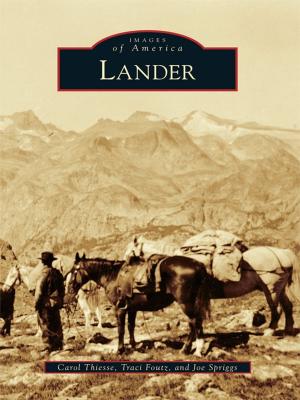 Cover of the book Lander by John V. Cinchett