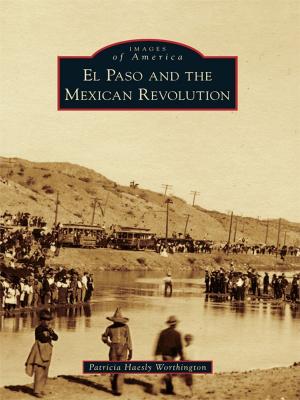 Cover of the book El Paso and the Mexican Revolution by Angelica M. Santomauro, Evelyn M. Hershey