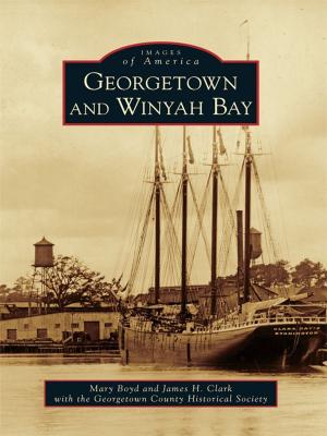 Book cover of Georgetown and Winyah Bay