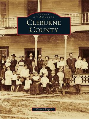 Cover of the book Cleburne County by Jim Harkins, Cecelia N. Brunner