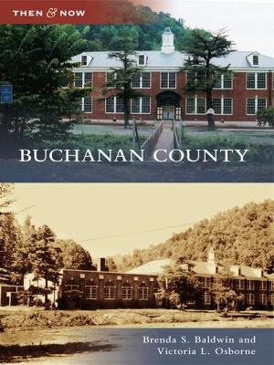 Cover of the book Buchanan County by Christopher Byrd Downey