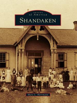 Cover of the book Shandaken by David MacGregor