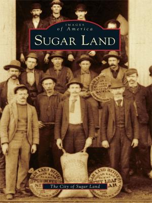 Cover of the book Sugar Land by Olivia Cueva-Fernandez
