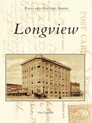 Cover of the book Longview by Martyn Moore