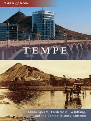 Cover of the book Tempe by John Garvey