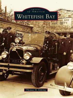 Cover of the book Whitefish Bay by Tricia O’Brien