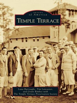 Cover of the book Temple Terrace by James Thomas Mann