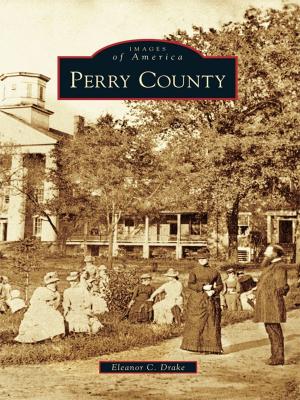 Cover of the book Perry County by Elizabeth Parker