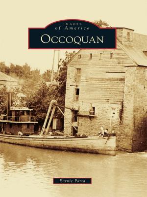 Cover of the book Occoquan by Chris Dickon