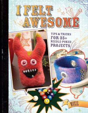 Cover of the book I Felt Awesome by Mags Kandis