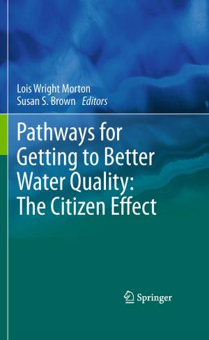 Cover of the book Pathways for Getting to Better Water Quality: The Citizen Effect by Tiziana A.L. Brevini, Fulvio Gandolfi