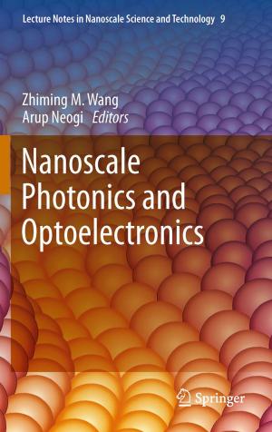 Cover of the book Nanoscale Photonics and Optoelectronics by J. Ernesto Molina