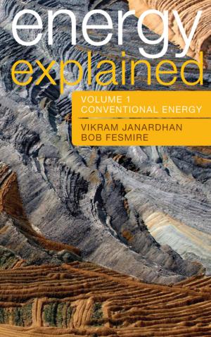 Cover of the book Energy Explained by Juan Denzer, Ellyssa Kroski