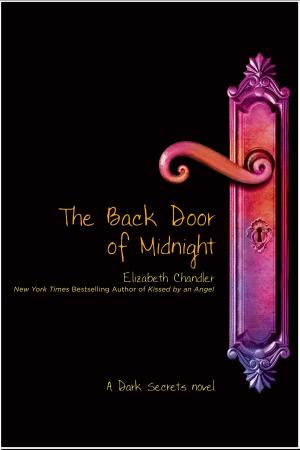 Cover of the book The Back Door of Midnight by Lauren Barnholdt