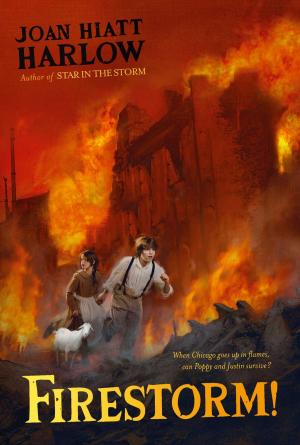 Cover of the book Firestorm! by Carol Fenner