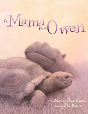 Cover of the book A Mama for Owen by Florence Laughlin