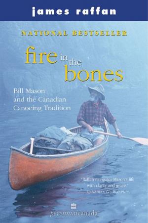 Book cover of Fire In The Bones