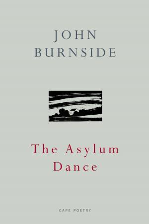 bigCover of the book The Asylum Dance by 