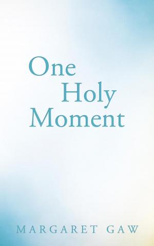 bigCover of the book One Holy Moment by 