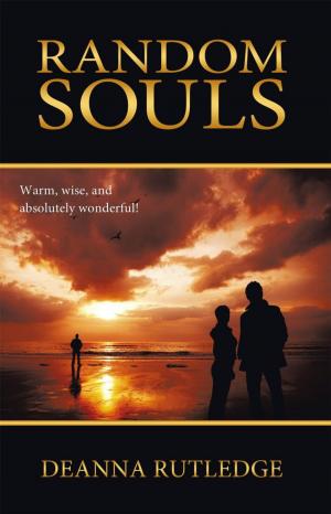 Cover of the book Random Souls by Vergil G. Schmidt