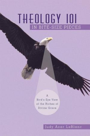 Cover of the book Theology 101 in Bite-Size Pieces by Suzanne M Phipps