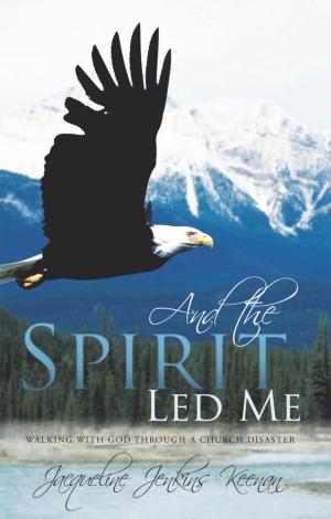 Cover of the book And the Spirit Led Me by Heather DeBerry Stephens