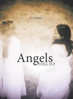 Cover of the book Angels Still Fly by Christopher L. Johnson