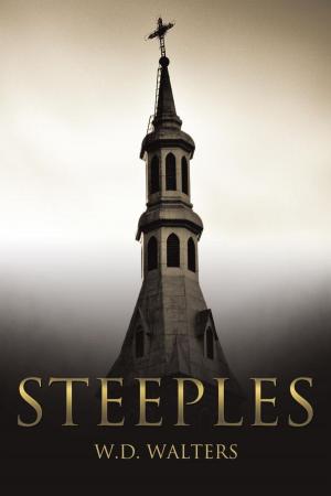 Cover of the book Steeples by Kaye Elliott Leazier