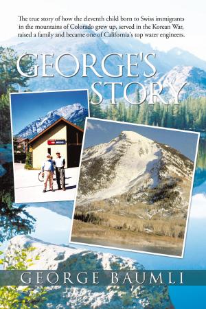 bigCover of the book George's Story by 