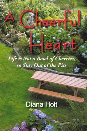 Cover of the book A Cheerful Heart by Nate Sterling