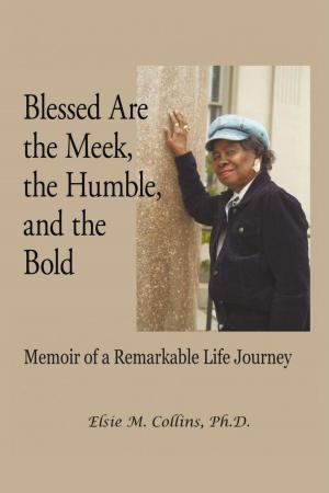 Cover of the book Blessed Are the Meek, the Humble, and the Bold by Dr. DreamingBear Baraka Kanaan