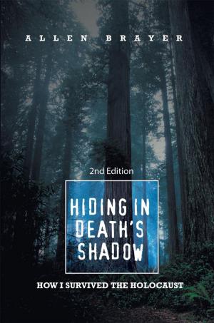 Cover of the book Hiding in Death's Shadow by William T. Chance