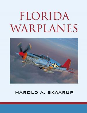 Cover of the book Florida Warplanes by Richard McOmber
