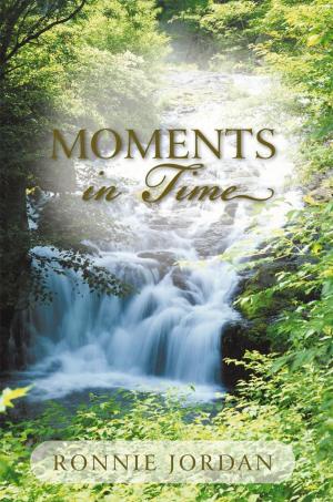 Cover of the book Moments in Time by Jess Strauss