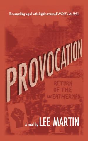 Cover of the book Provocation by Regis McCafferty