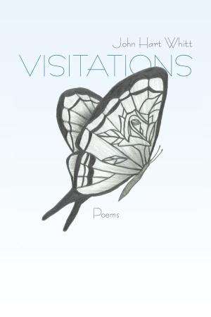 Cover of the book Visitations by Daniel M. Avery