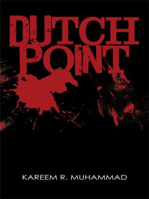 Cover of the book Dutch Point by David A. Ringer