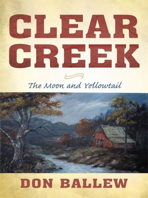Cover of the book Clear Creek by Bibi Sazieda Jabar