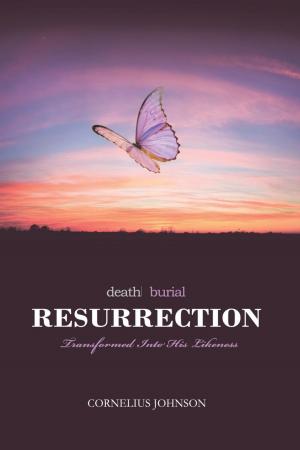 Cover of the book Death, Burial, Resurrection by Randy Lariscy