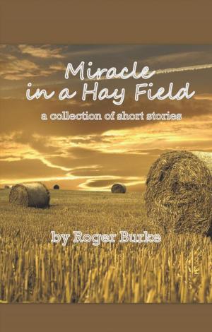 Cover of the book Miracle in a Hay Field by Robynn Gabel