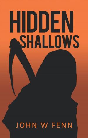bigCover of the book Hidden Shallows by 