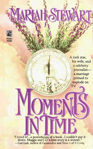 Cover of the book Moments in Time by Len Silver