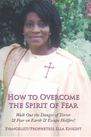 Cover of the book How to Overcome the Spirit of Fear by Dylan Thomas Altenhofen